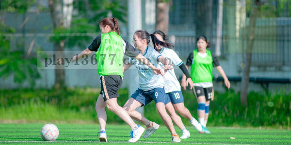 金色箭头符号组合表示版本演进与趋势方向